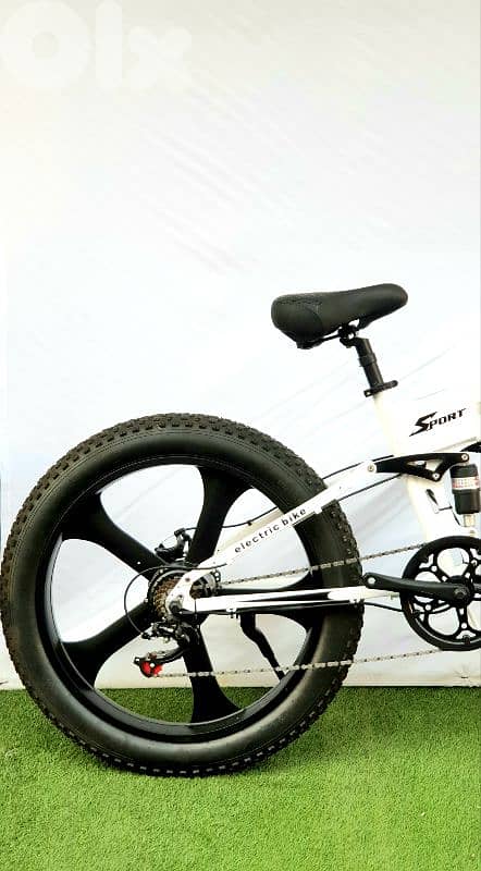AKEZBIKE foldable ebike 1000w 2