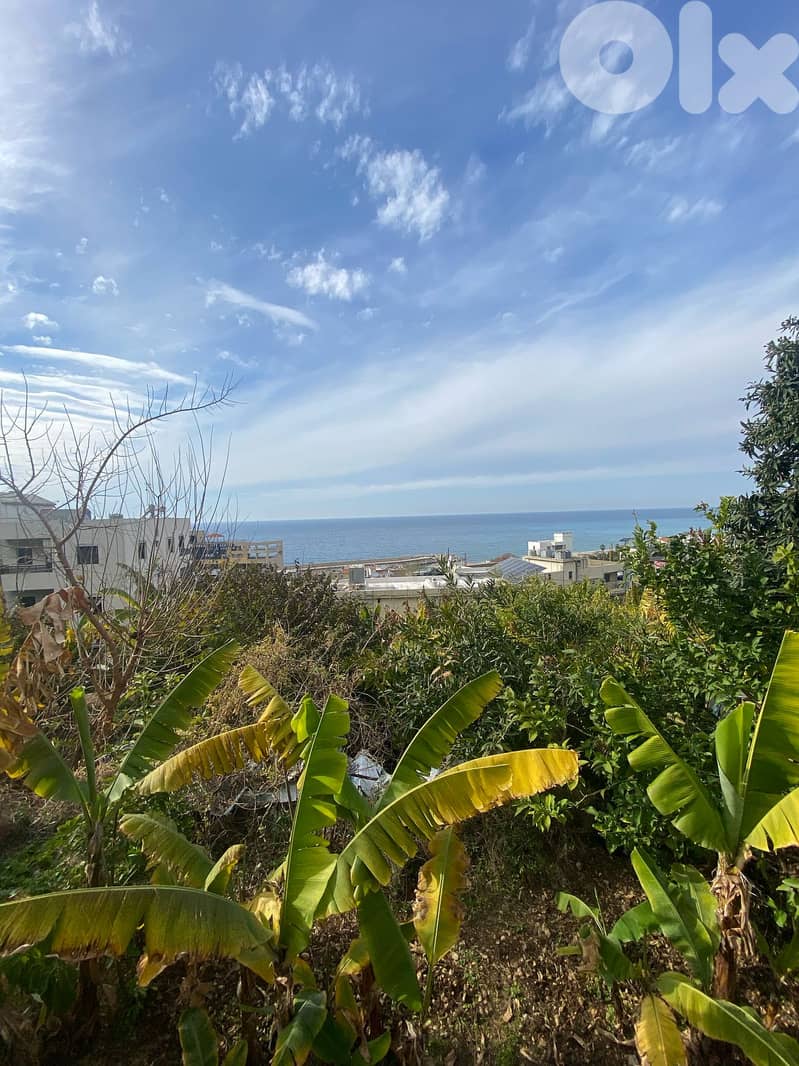 RWB104EG - Land for sale in Okaibeh 0