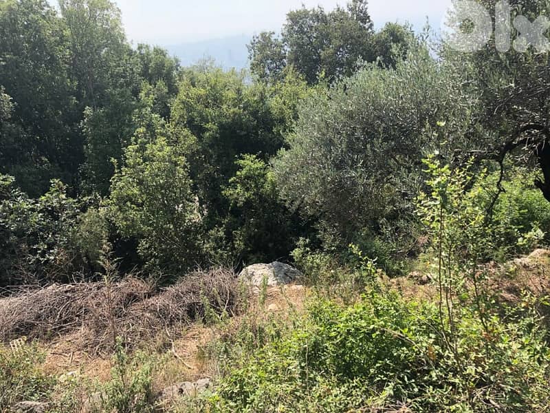 815 Sqm | Land for sale in Ain Saadeh ارض للبيع في عين سعادة 2