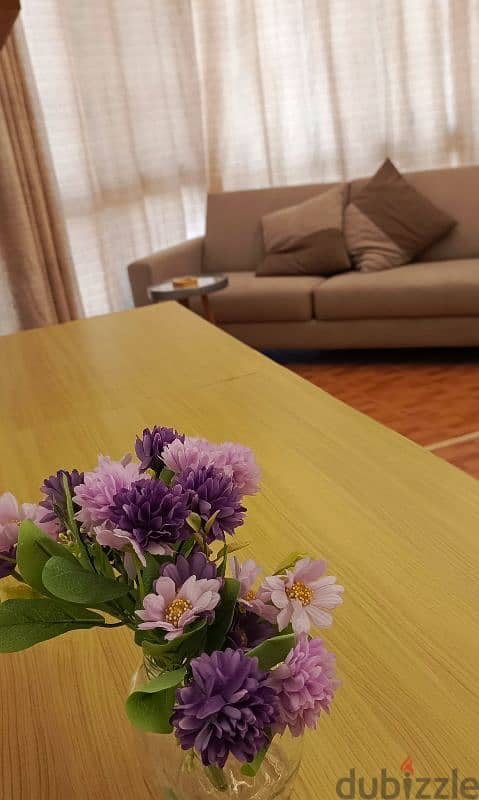 Samaya rent Chalet beside usek kaslik 3