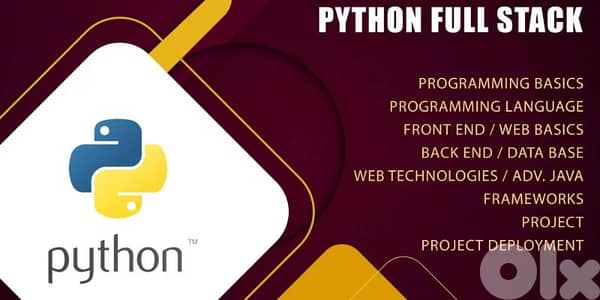 Learn to become Python Full Stack Developer! Free Project help!