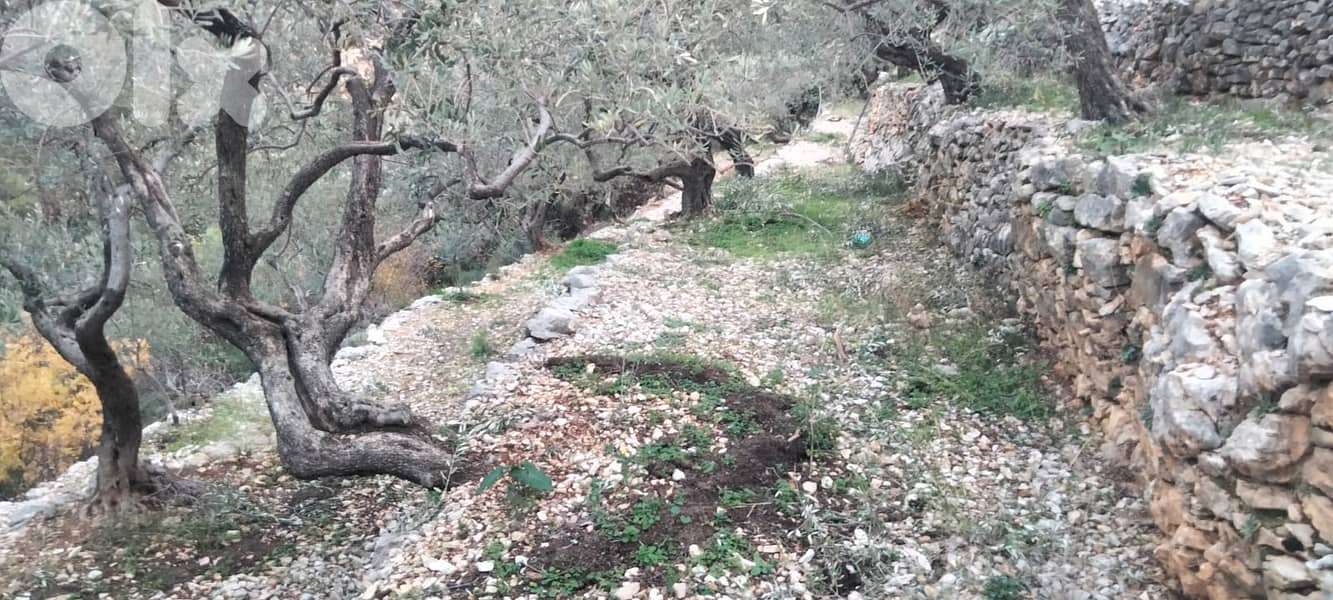 RWB132DL - Land for sale in Chabtine Batroun 0