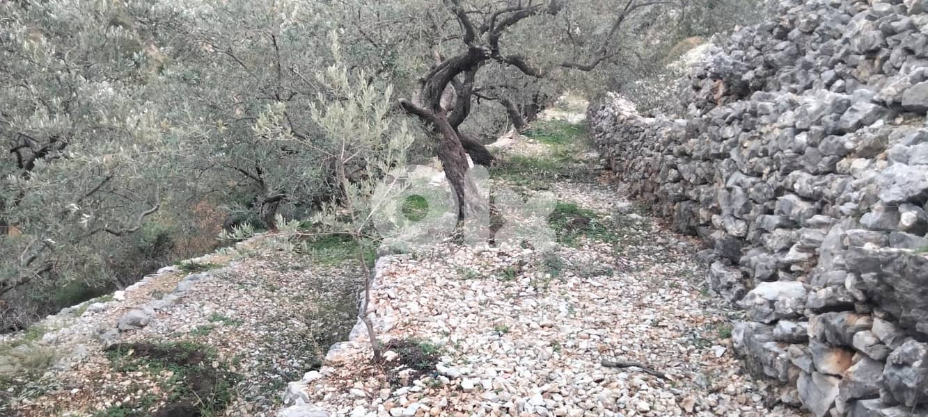 RWB132DL - Land for sale in Chabtine Batroun 1