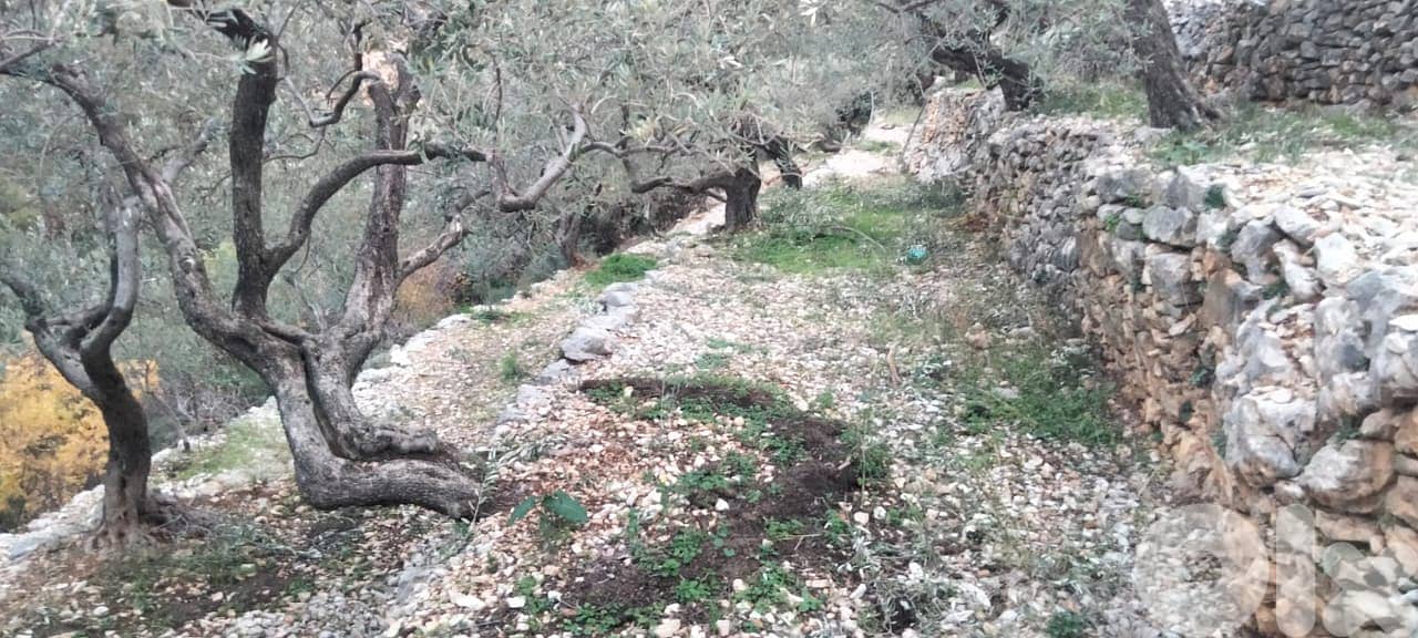 RWB132DL - Land for sale in Chabtine Batroun 4