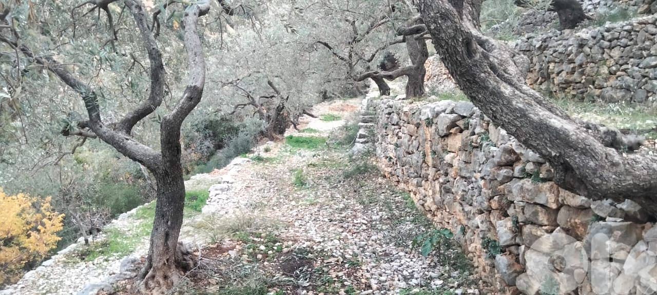 RWB132DL - Land for sale in Chabtine Batroun 5