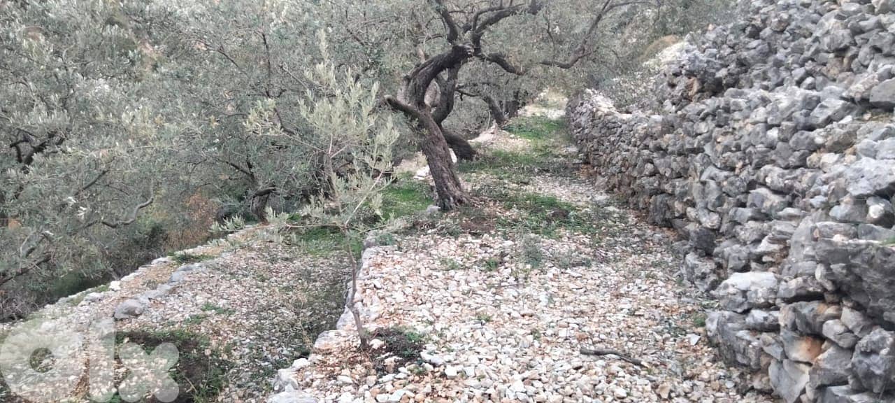 RWB132DL - Land for sale in Chabtine Batroun 6