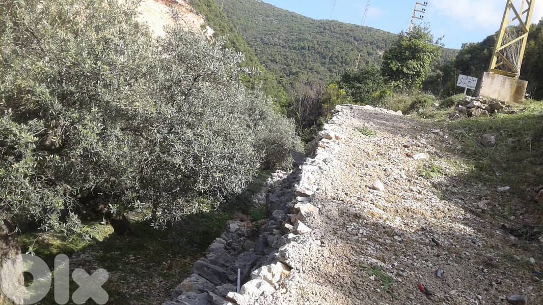 RWB132DL - Land for sale in Chabtine Batroun 7