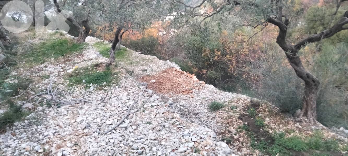 RWB132DL - Land for sale in Chabtine Batroun 10