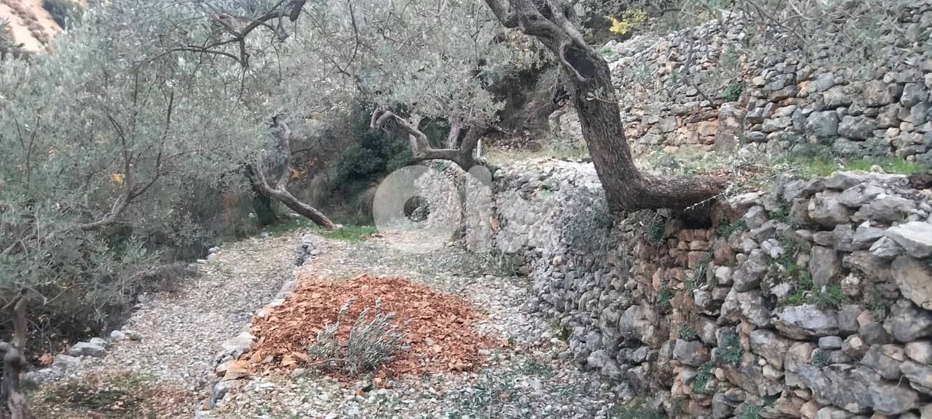 RWB132DL - Land for sale in Chabtine Batroun 11