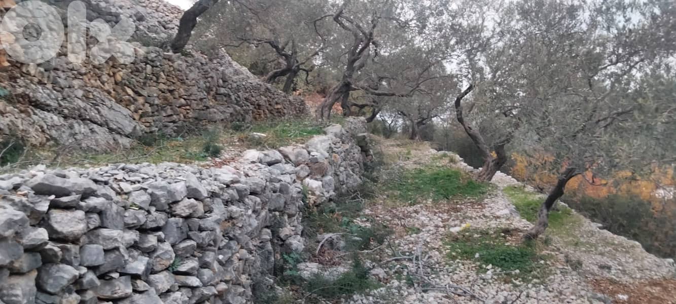 RWB132DL - Land for sale in Chabtine Batroun 12