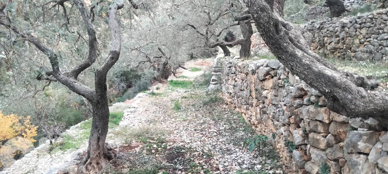 RWB132DL - Land for sale in Chabtine Batroun 13