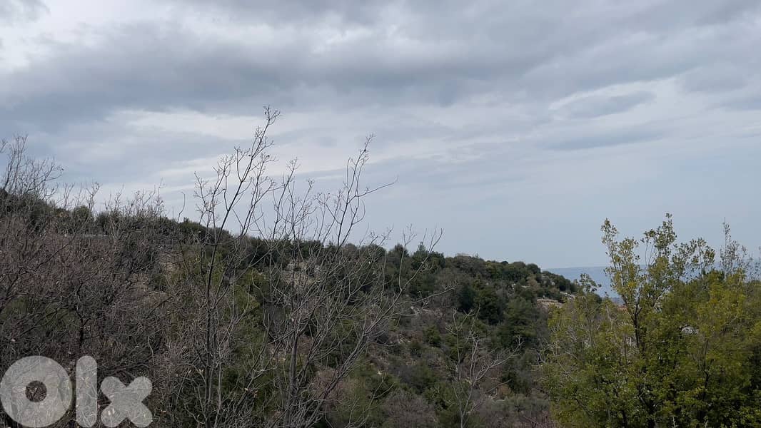 RWB116SN - Prime location land for sale in Aabdine Becharre District 4