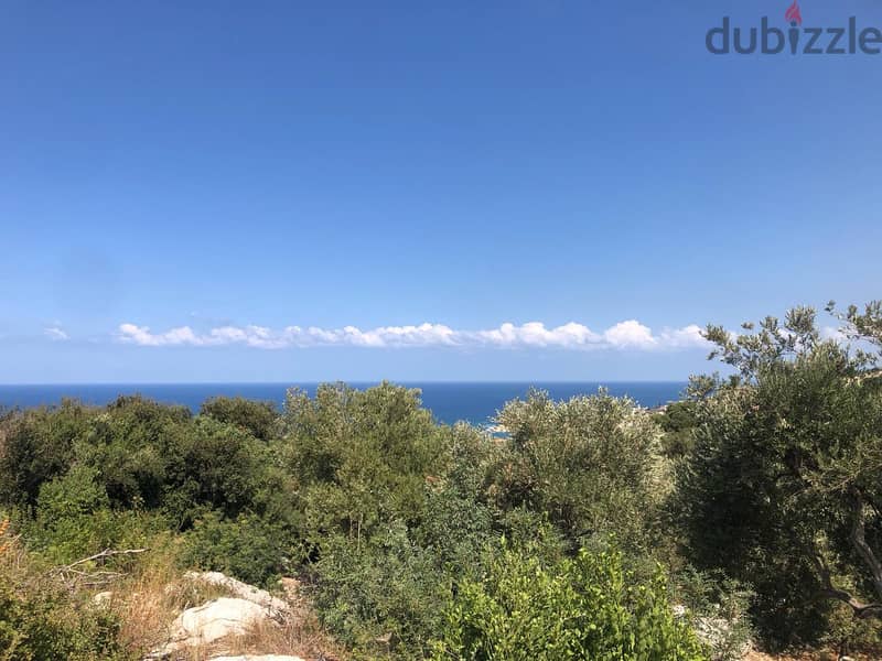 Land for sale in Monsef-Jbeil أرض للبيع في منصف جبيل 0