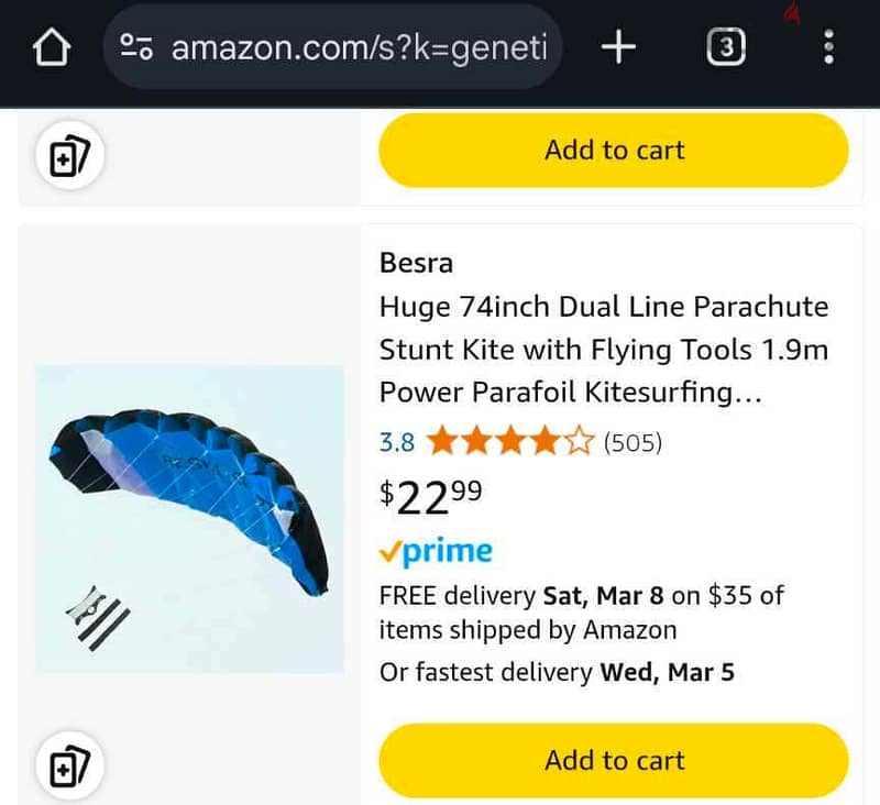 Stunt Parafoil Kite 3