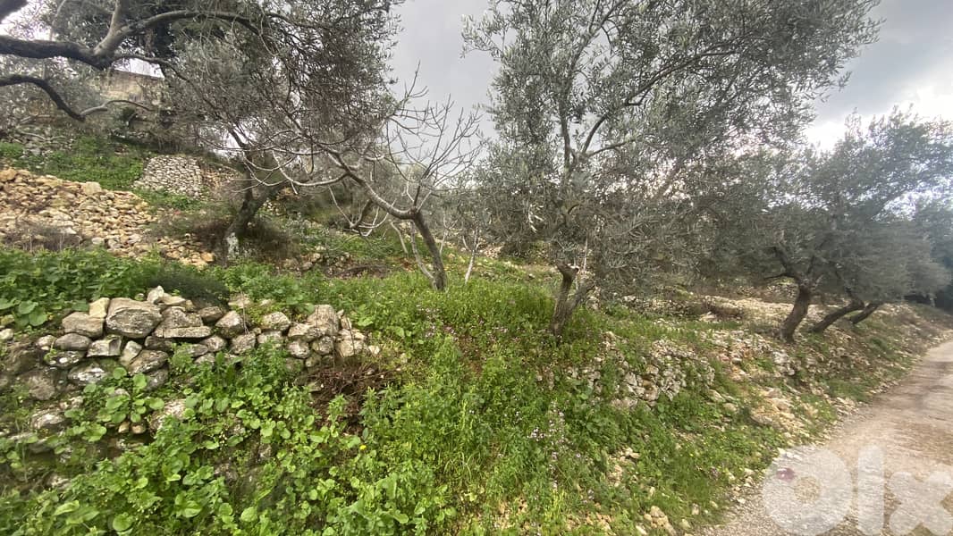 RWB126DL - Land for sale in Chabtine Batroun 2