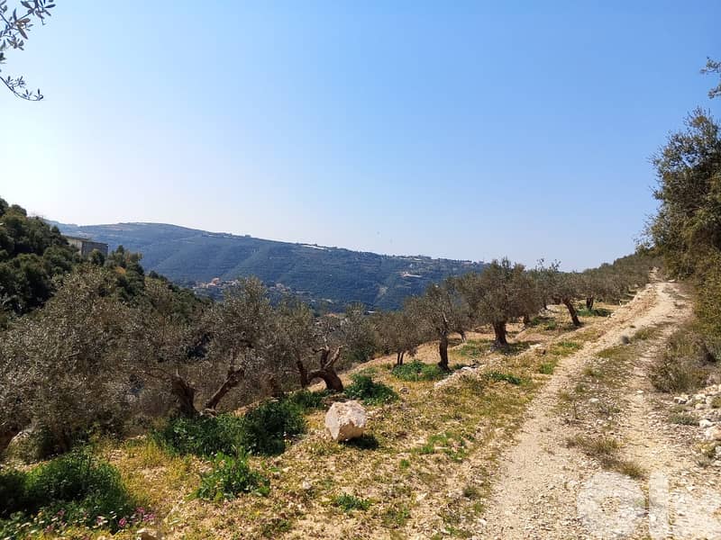 RWB133DL - Land for sale in Jrabta Batroun 2