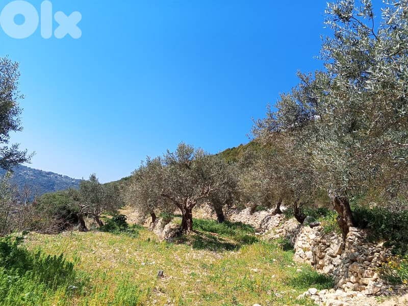 RWB133DL - Land for sale in Jrabta Batroun 3