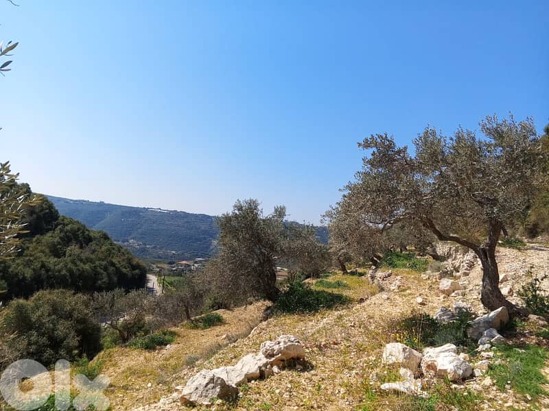 RWB133DL - Land for sale in Jrabta Batroun 4