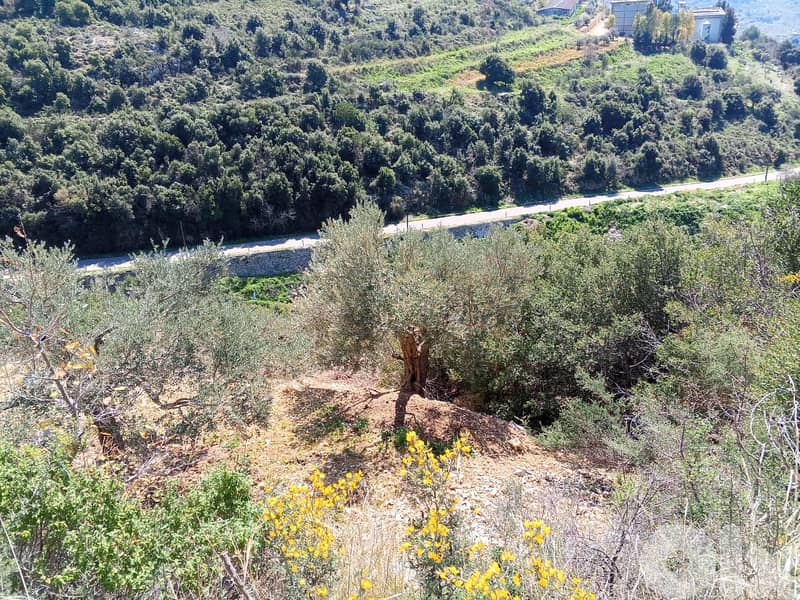 RWB133DL - Land for sale in Jrabta Batroun 5