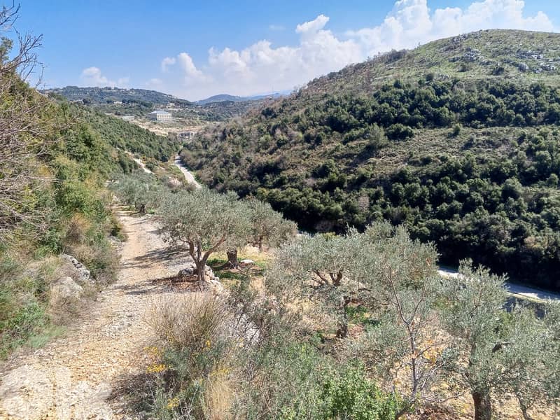 RWB133DL - Land for sale in Jrabta Batroun 6