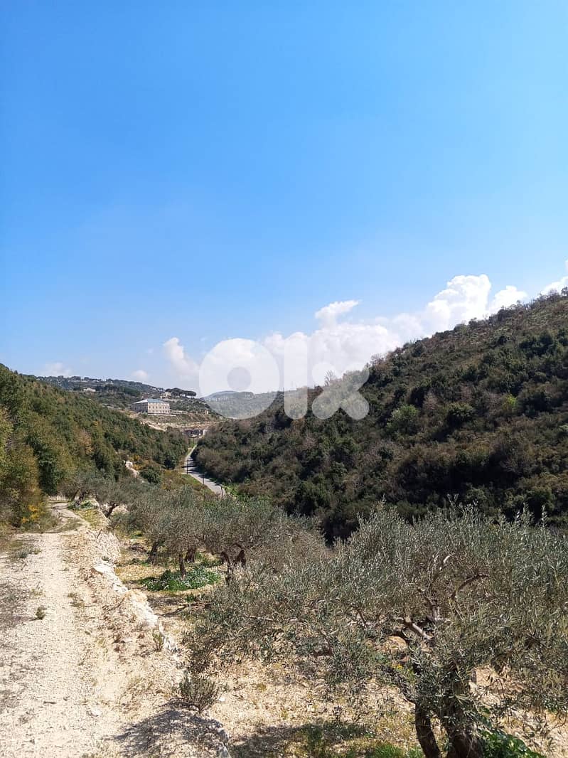 RWB133DL - Land for sale in Jrabta Batroun 8
