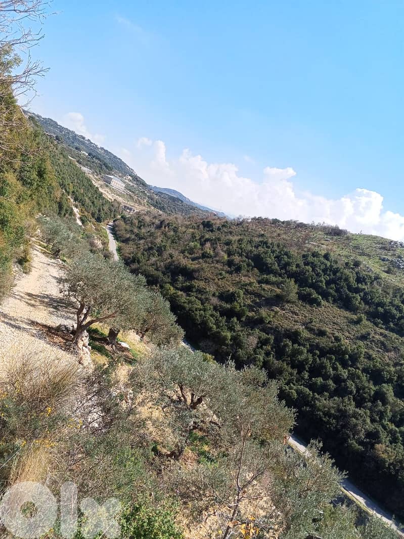 RWB133DL - Land for sale in Jrabta Batroun 9