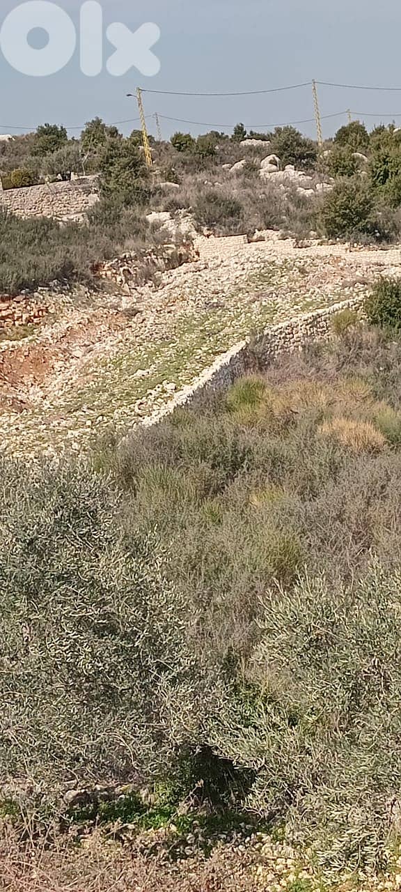 RWB134DL - Land for sale in Alaly - Batroun 1