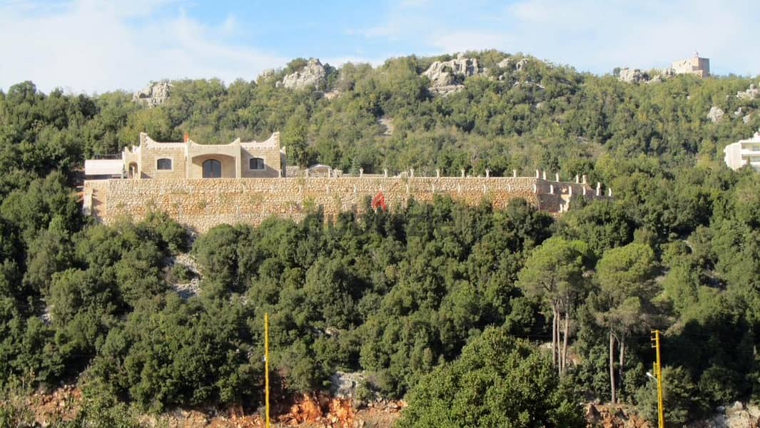 VINTAGE VILLA FOR SALE - AJALTOUN KESEROUANE فيلّا للبيع عجلتون 0