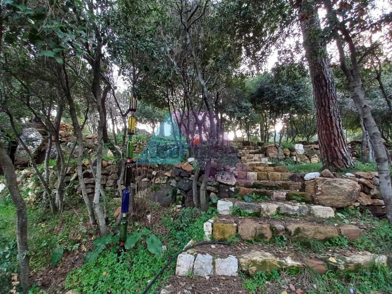 2850 SQM land for sale in Bet Mery - أرض للبيع في بيت مري 5