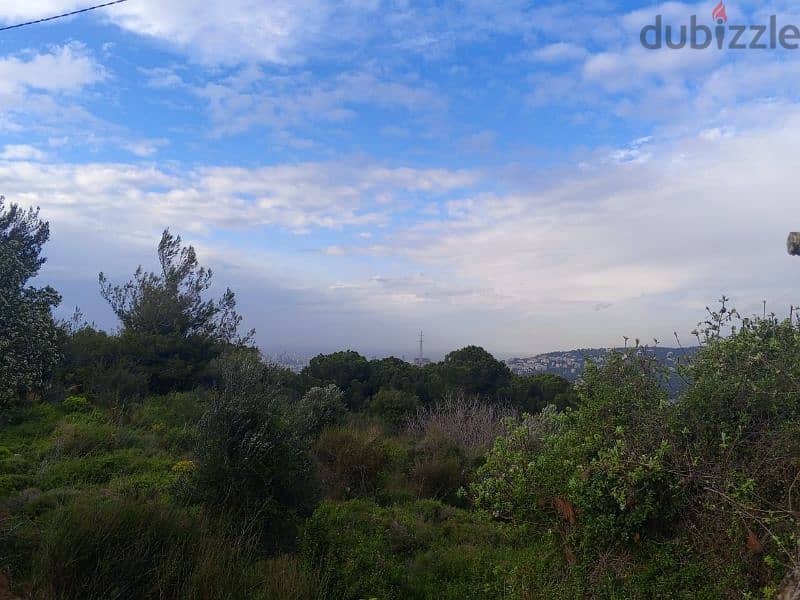 land for sale in ain anoub  Kh10023 0