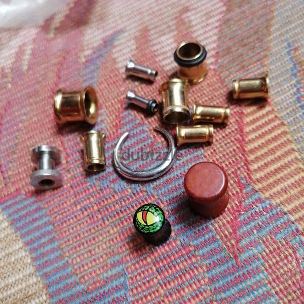 Ear stretchers and tunnels 1