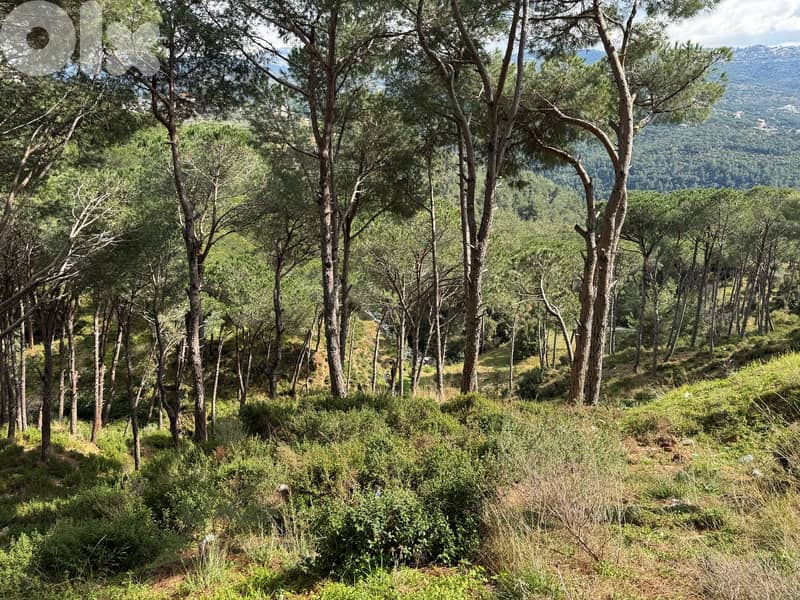 L17191 -9,030 SQM Land For Sale In Broumana 2