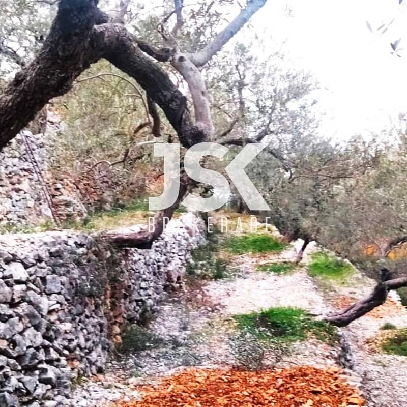 L17332 - Land For Sale in Chabtine, Batroun With Road Access 0