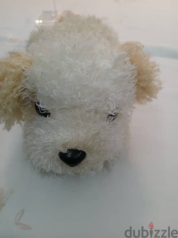 peluche, cuddy toy, doll, poupee $5 the small  & $10 the big 11