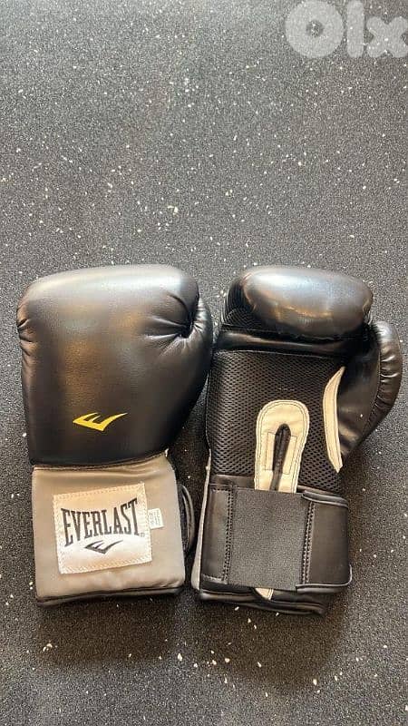 boxing gloves 2