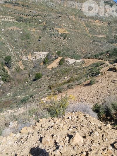 ارض للبيع في الرملية عاليه land for sale in rmlye aley