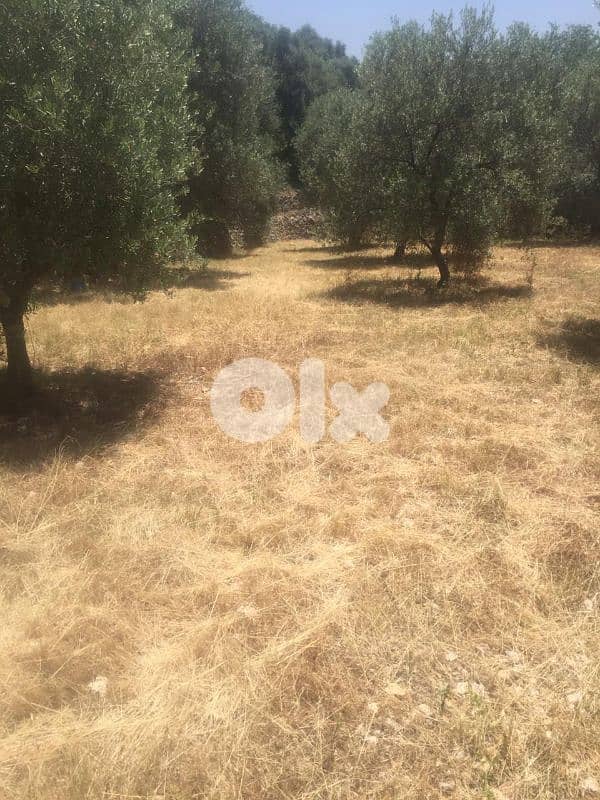 land 9500sqm for sale in deir El kamar 0