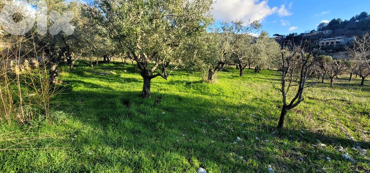 RWB111EG - Land for sale in Lehfed Jbeil 0