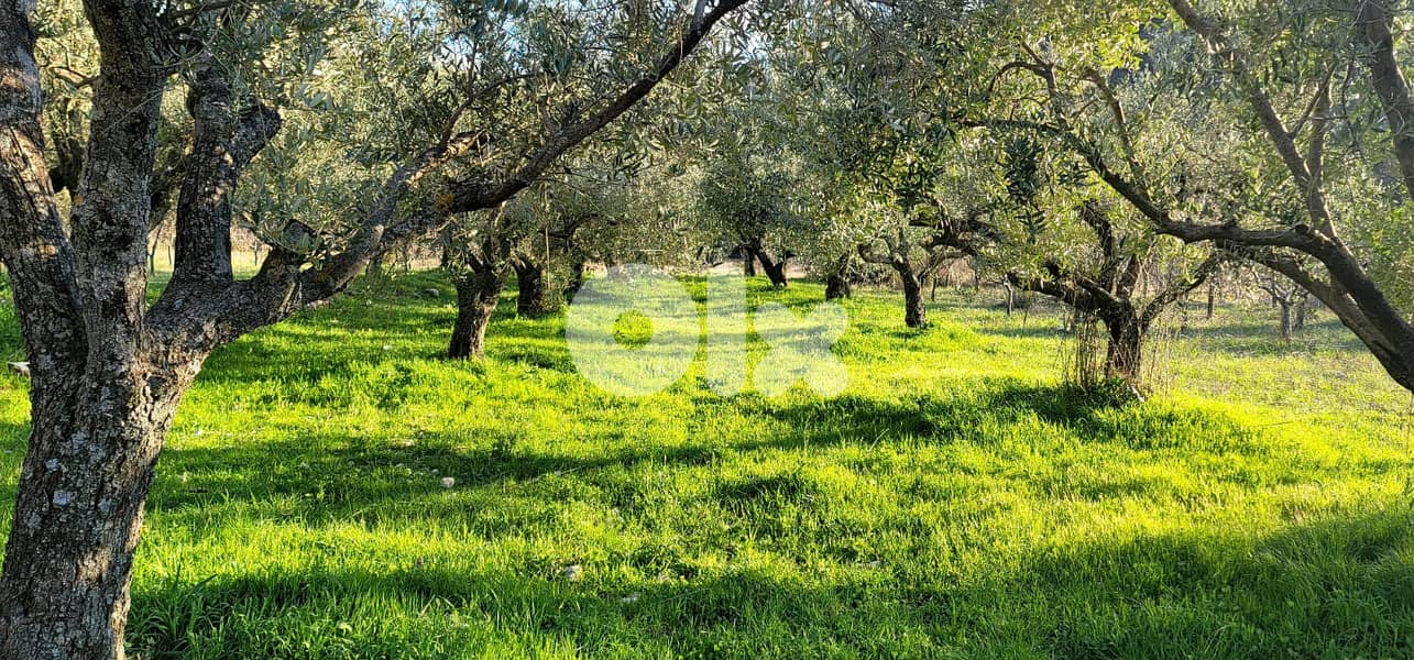 RWB111EG - Land for sale in Lehfed Jbeil 1