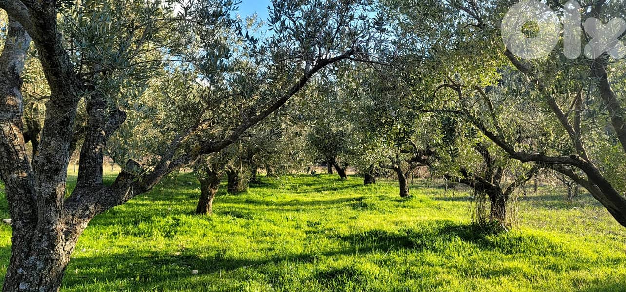 RWB111EG - Land for sale in Lehfed Jbeil 2
