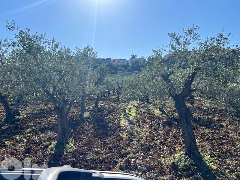 agricultural land for sale bteram 1