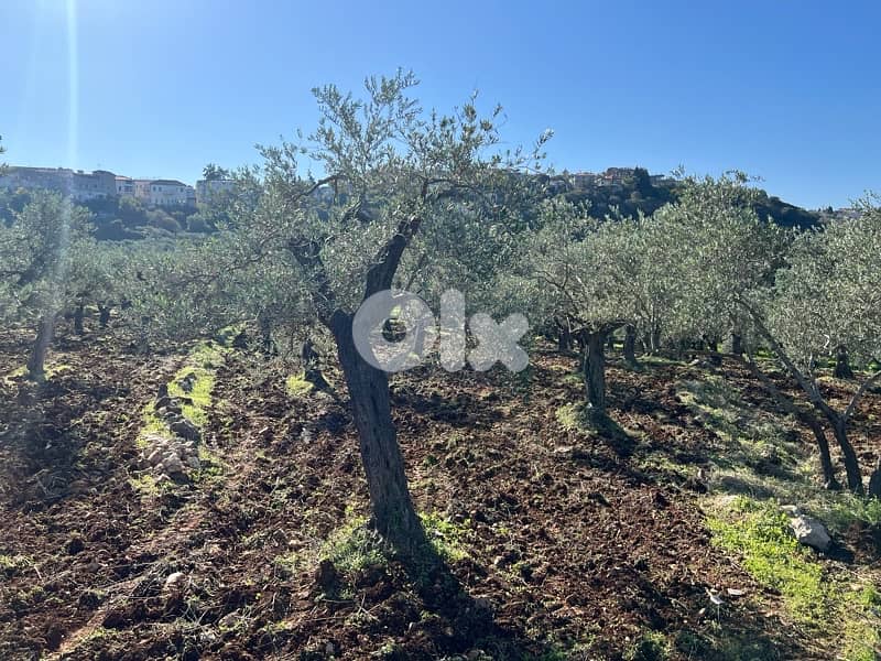agricultural land for sale bteram 2