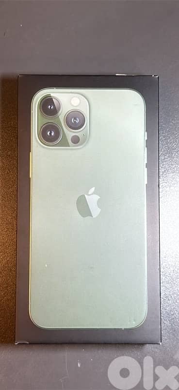 iPhone 13 Pro Max 11