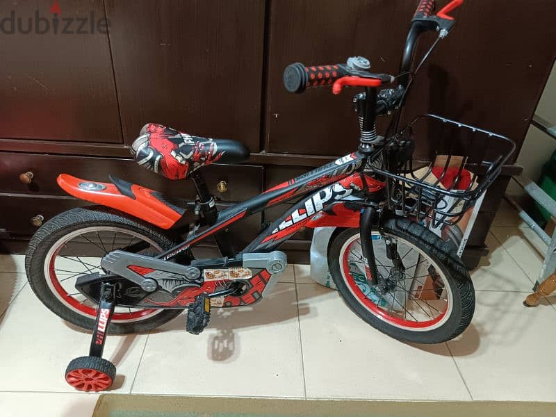 bicycle Philips brand 0