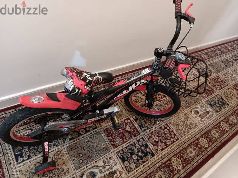 bicycle Philips brand 2