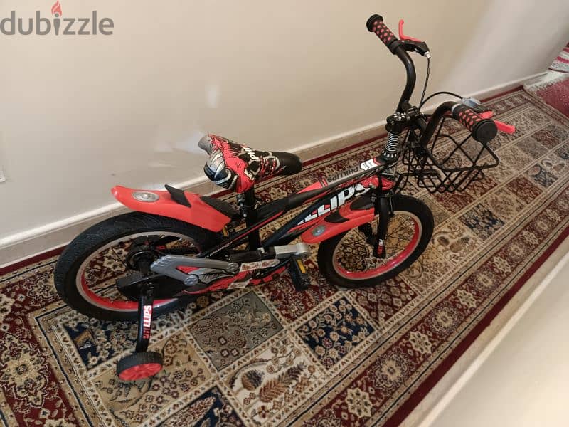 bicycle Philips brand 5