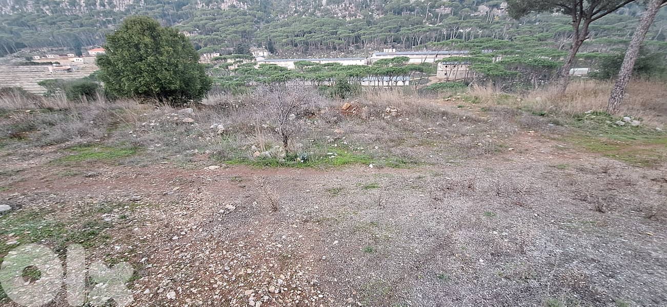 Land for Sale in Arsoun أرض للبيع في أرصون 1
