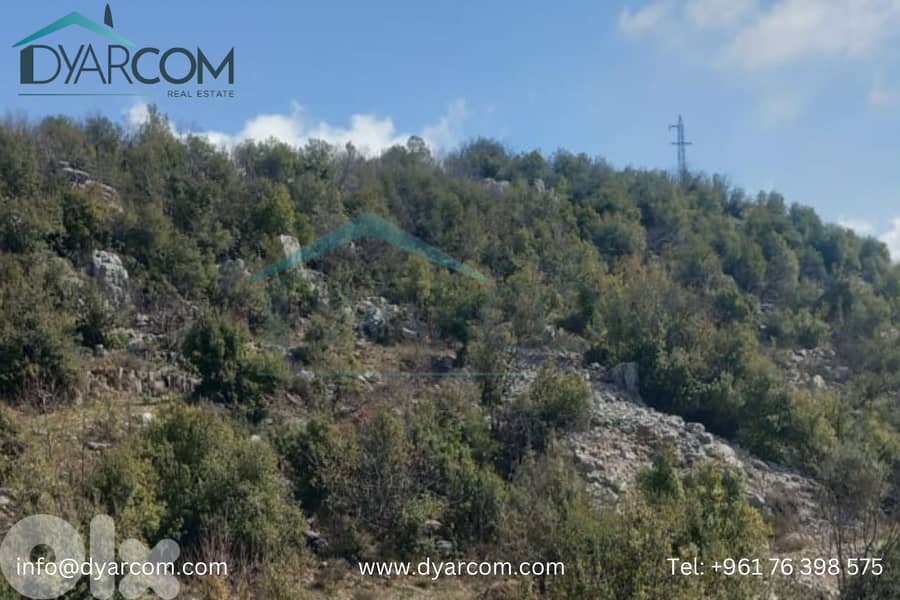 DY2407 - Faytroun Land for Sale! 0