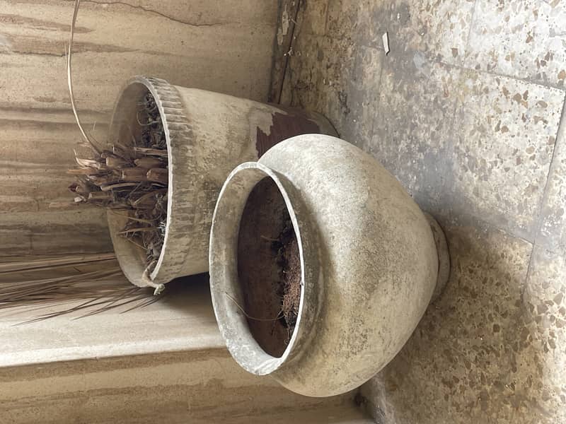 Grey plant planter pots 5