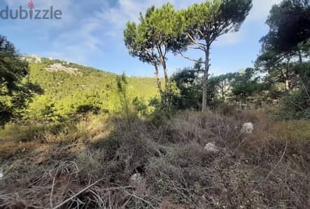 1000 SQM Land+Mountain View 4 Sale in Monteverde -أرض للبيع مونتيفردي